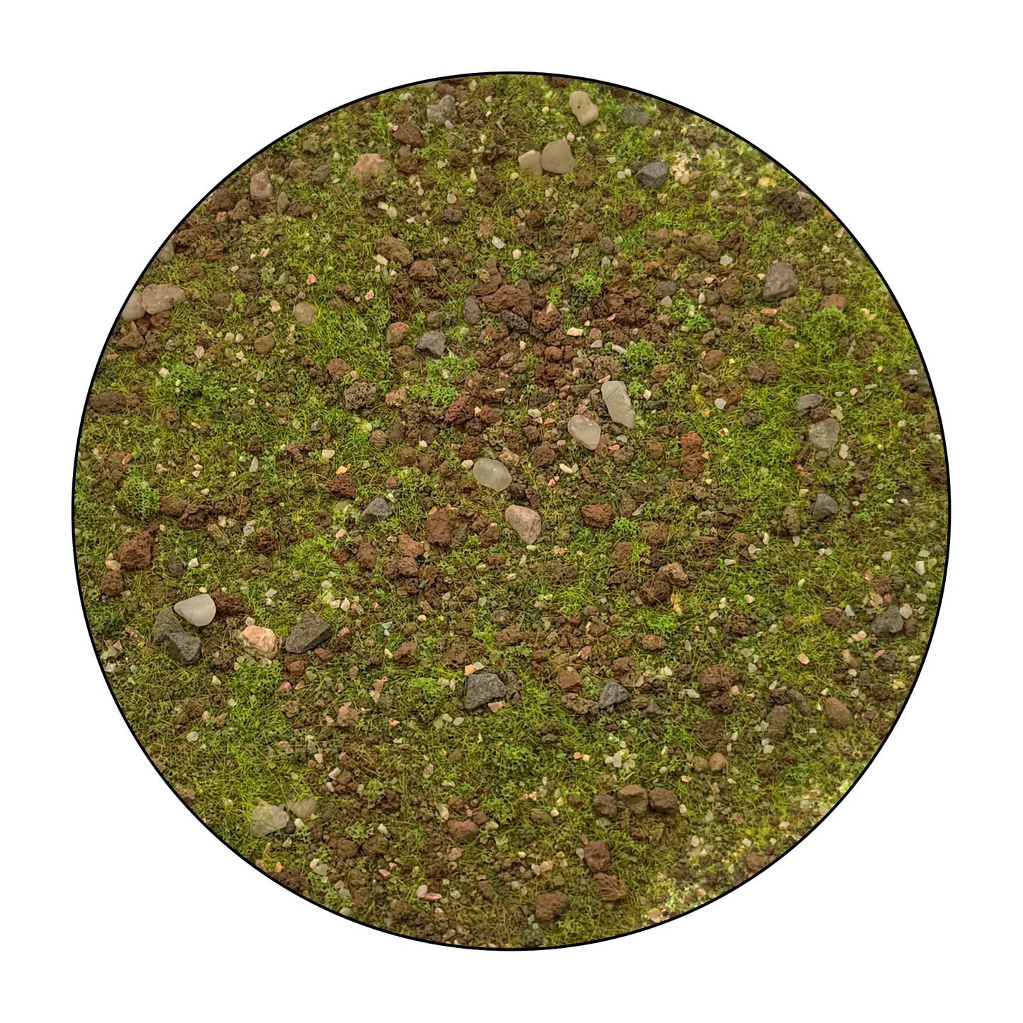 Base Ready Alpine Grassland