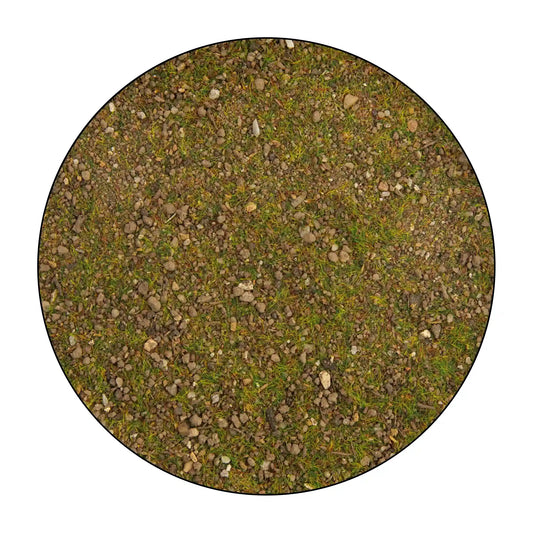 Pine Forest Ground Cover