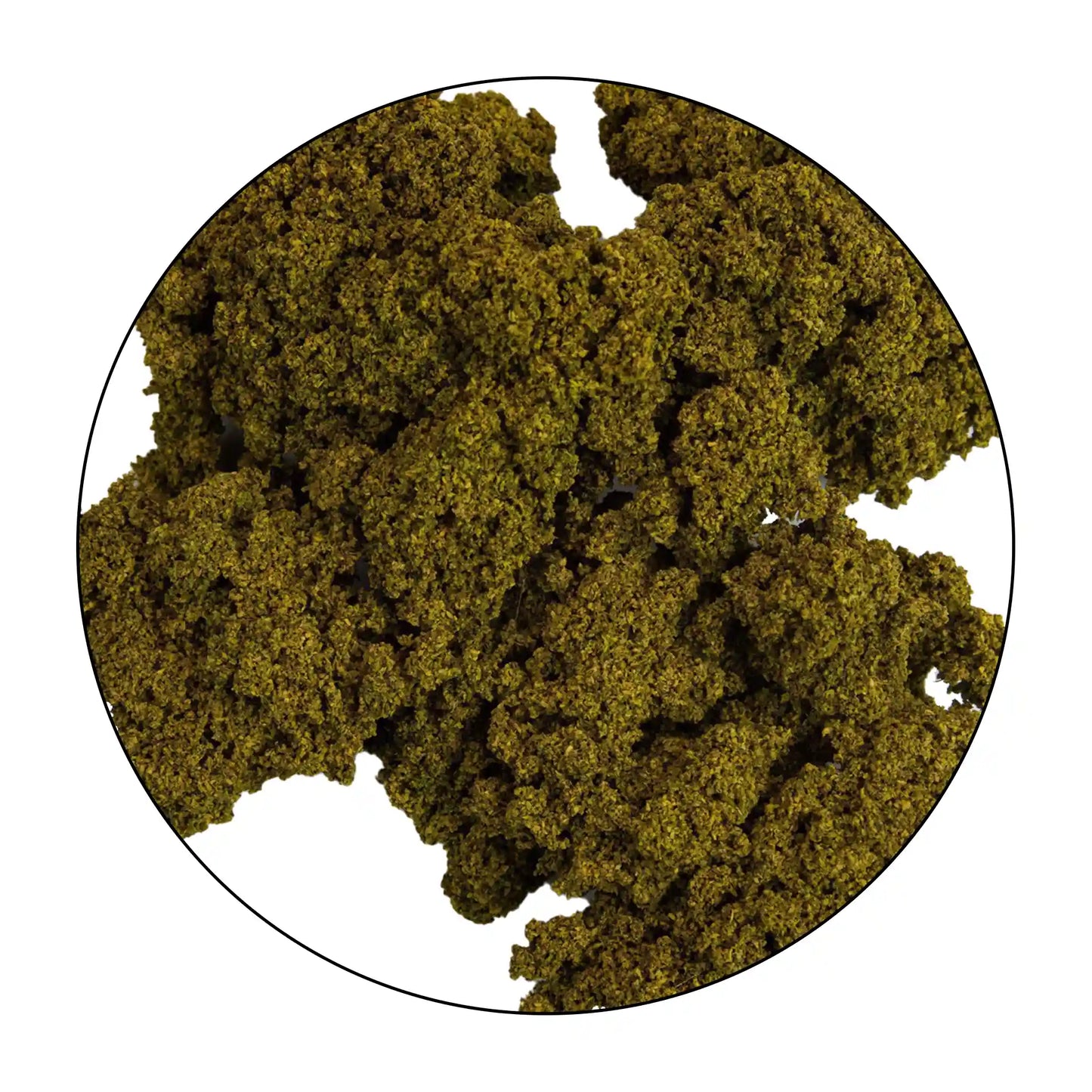 Light Green Clump Foliage