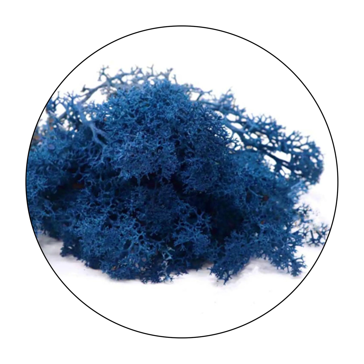 Lichen (Isländisches Moos) - Dark Blue