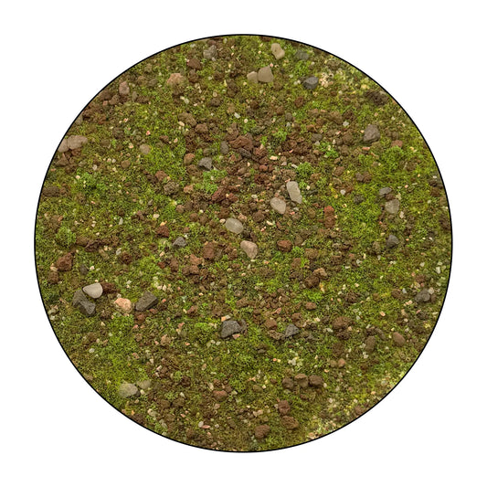 Base Ready Alpine Grassland